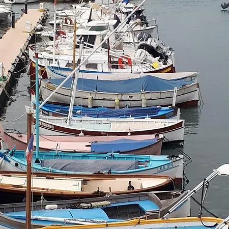 Sylphides Mg Antibes